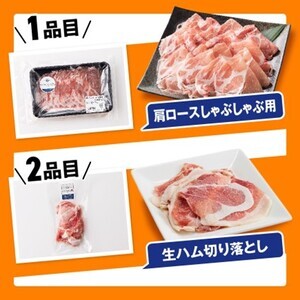 ※令和7年11月発送分※小分けで使いやすい！さんきょうみらい豚満喫セット 【 しゃぶしゃぶ 切り落とし ウデ モモ 鉄板焼 餃子 生ハム切り落とし ハンバーグ 】
