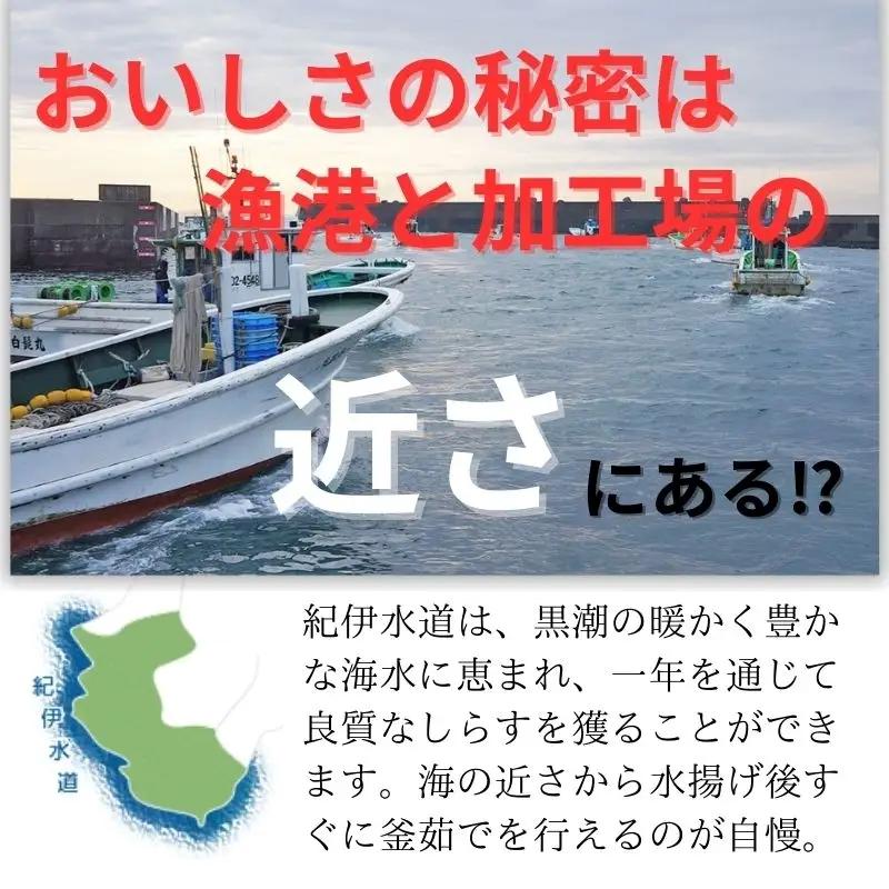 冷凍釜揚げしらす1kg（100g×10パック） / シラス 厳選 小分け 冷凍便 大容量 お米のおとも【dig003A】