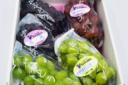 【2024年9月～10月発送分先行受付】安部ぶどう園のぶどう3種詰合せ約3kg_H093(R6)