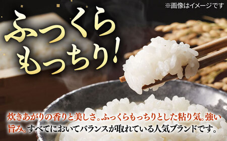 壱岐産米  こしひかり  10kg [JCZ019] 16000 16000円 米 お米 ごはん ご飯 こしひかり コシヒカリ 10kg おこめ 米 お米 ごはん ご飯 こしひかり コシヒカリ 10k