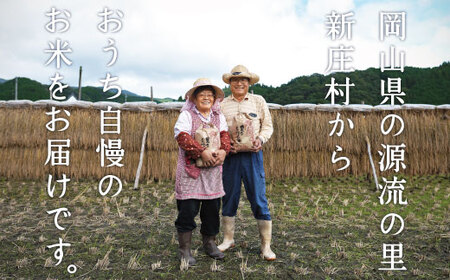 【令和7年産】新米コシヒカリ 村の「一等米」10kg(玄米5kg×2袋) 岡山県産のお米【1489807】