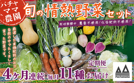 【4ヶ月連続お届け】農園自慢の情熱野菜セット（11品）【 野菜 野菜セット おすすめ 詰め合わせ 定期 定期便 野菜詰め合わせ 野菜 無農薬 野菜 ﾔｻｲ 】