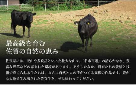 【12/14迄の寄附で新年に国産和牛のステーキを♪】佐賀牛 サーロインステーキ 400g (200g×2枚)【有田まちづくり公社】厚切り 特別な日 ご褒美 ご褒美牛肉 黒毛和牛 極上の佐賀牛 厳選 国