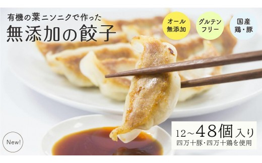 
                  葉 にんにく と 四万十豚 で作った 最高級餃子 （ 6個入り × 2 ～ 8 パック ） 餃子 ギョーザ 焼き餃子 やきぎょうざ ぎょーざ こだわり 大容量 冷凍 冷凍餃子 簡単 調理 簡単調理 惣菜 冷凍食品 おかず 弁当 中華 中華料理 料理 プレゼント ギフト 贈り物 高知県 須崎市 EA0271_all
                