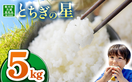 【栃木県共通返礼品】【令和7年度産】栃木県産とちぎの星 5kg | ふるさと 納税 とちぎの星 お米 精米 白米 玄米 大粒 共通返礼品 送料無料 那珂川町 栃木県