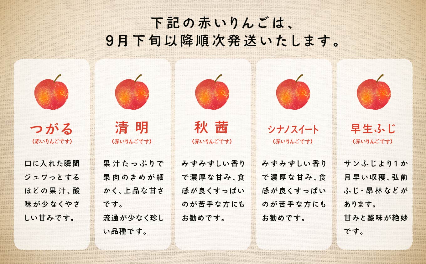 《2026年9月下旬以降順次発送》羽山りんご 品種おまかせ(早生・中早生)  3㎏ りんご リンゴ 林檎 国産りんご フルーツ 果物 人気 ランキング おすすめ ギフト 故郷 ふるさと 納税 福島 ふ