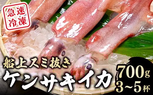 船上スミ抜きケンサキイカ 700g以上（3～5杯）【いか 剣先いか 700g以上 烏賊 イカ ケンサキイカ 贅沢 刺身 おかず おつまみ お酒 冷凍 地物 天然物 新鮮 真空パック 旨い 海産物 魚介類 獲れたて】