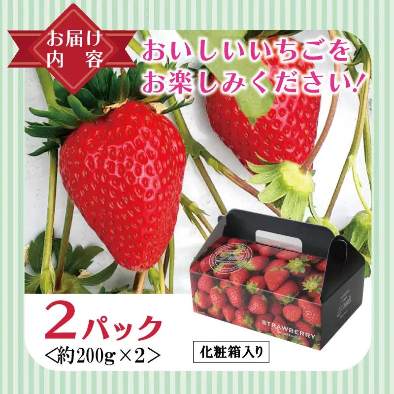 【特別規格】朝摘み完熟いちご 2パック 先行予約