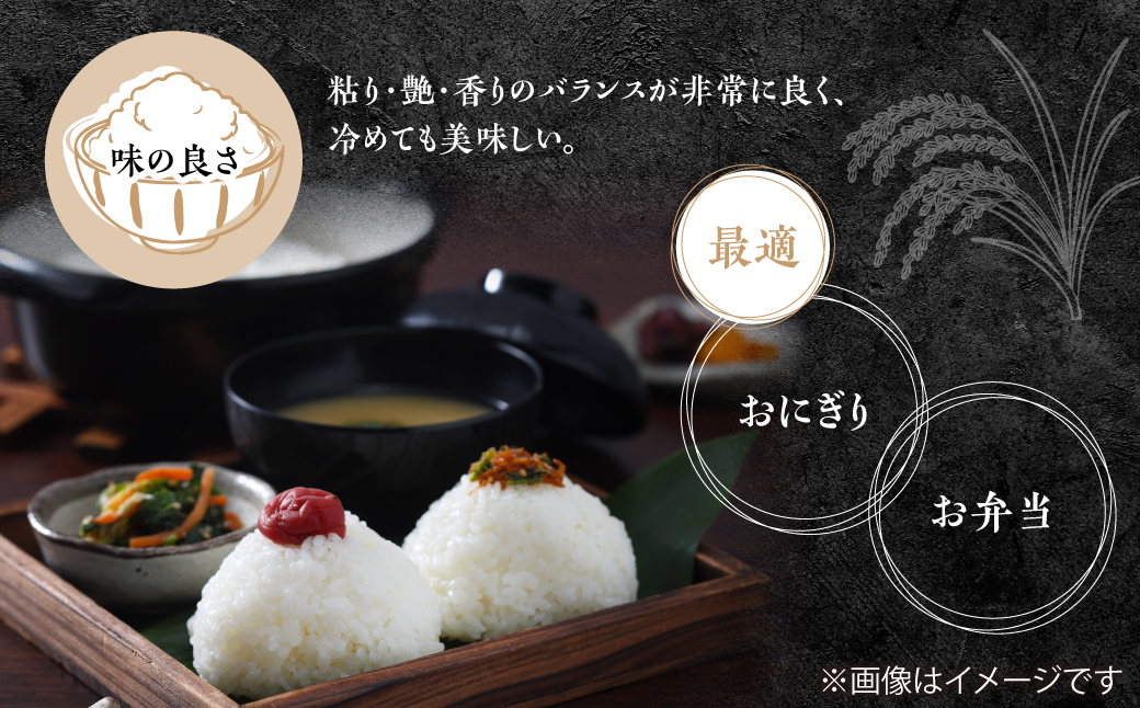 【令和7年産】多古米コシヒカリ　精米20kg(5kg×4袋)【配送不可地域：離島・沖縄県】 TAKN002