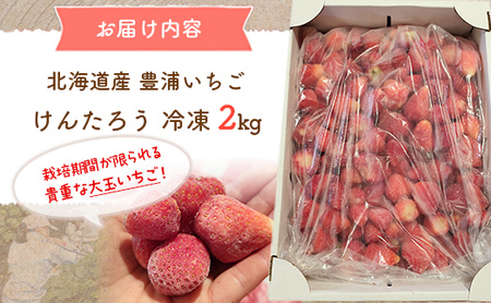【2025.4月以降順次出荷】豊浦いちご  冷凍いちご 2kg 【 ふるさと納税 人気 おすすめ ランキング 果物 いちご苺 イチゴ 国産いちご 国産苺 けんたろう セット おいしい 美味しい 北海道