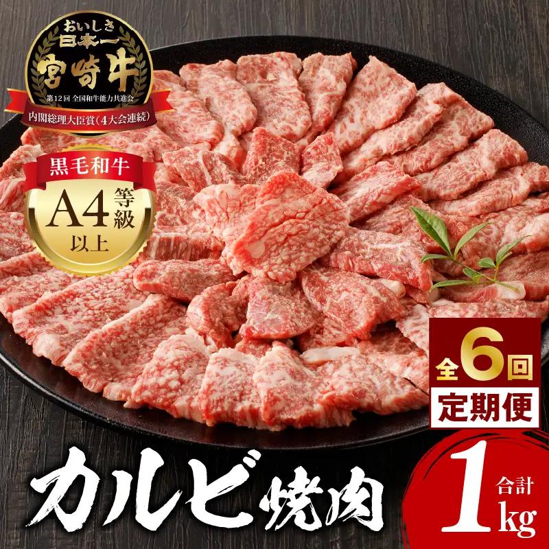 【定期便全6回】宮崎牛 カルビ焼肉 合計1kg カルビ 宮崎牛 黒毛和種 日本食肉格付協会 肉質等級4等級 最高級 サシ 焼肉 焼き肉 バーベキュー BBQ 定期便