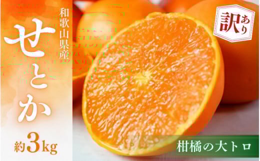 【ご家庭用訳あり】ジューシー柑橘 せとか 約3kg【先行予約】※2026年2月中旬頃〜2026年3月中旬頃発送予定（お届け日指定不可） せとか みかん ミカン 柑橘 フルーツ 果物 くだもの【uot834A】