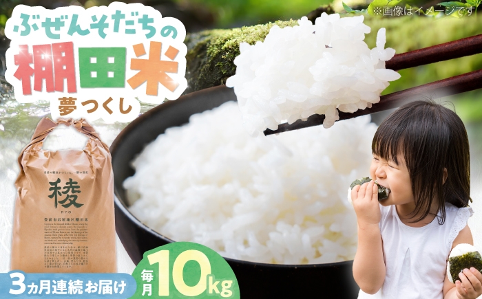 
                  【全3回定期便】新米 求菩提米 夢つくし 10kg (5kg×2袋) 《豊前市》【アグリネックス】[VCO007] 米 定期便 定期 白米 国産 米 おこめ お米 白米 こめ ごはん ご飯 コメ ブランド米 精米 人気 おすすめ ゆめつくし 10kg 10キロ 米の定期便
                