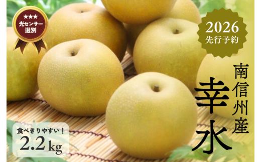JA28-26A 【先行予約】 梨 幸水 約2kg／2026年8月中旬～9月上旬頃 配送予定 // 贈答 センサー選別 糖度センサー 梨 なし ナシ 果物 フルーツ ギフト 幸水 太鼓判 優糖生