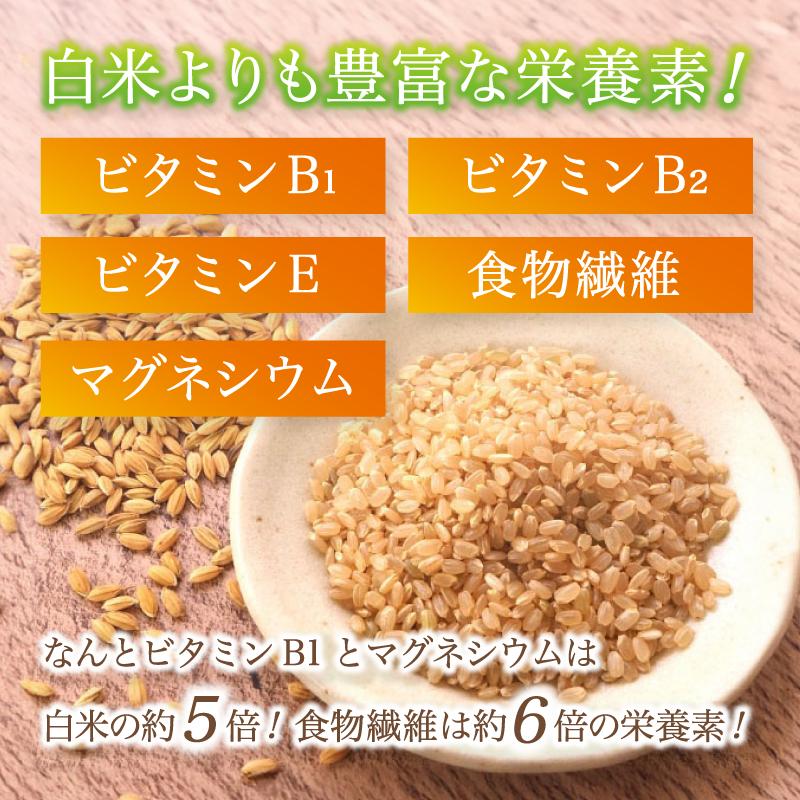 特別栽培米 竹炭米 コシヒカリ 10kg 玄米 京都府 舞鶴市 こしひかり お米 ごはん