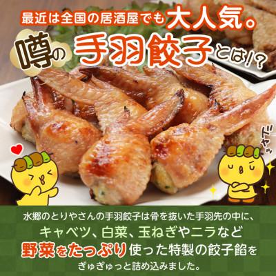 ふるさと納税 香取市 メディアで話題★2年連続グルメ大賞受賞!手羽餃子10本&水郷どりまるごと一本(2本入) |  | 02