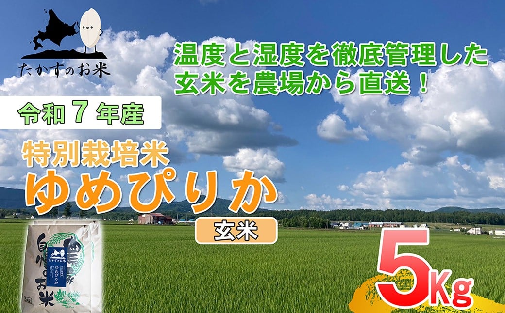 【令和7年産】 ゆめぴりか (玄米) 北海道 米 を代表する人気の品種 5kg 北海道 鷹栖町 たかすのお米 米 コメ こめ ご飯