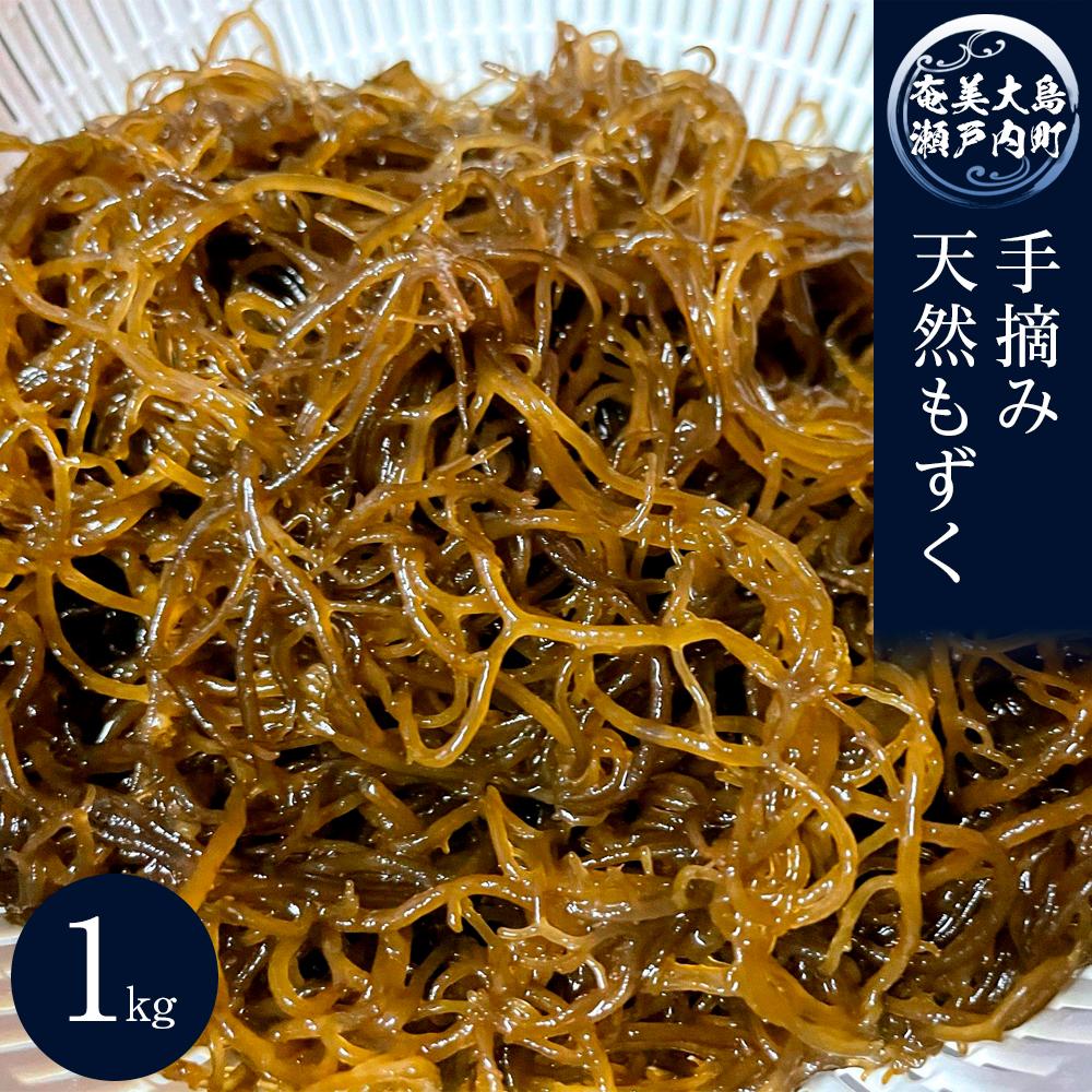 【ふるさと納税】奄美大島瀬戸内町産　手摘み天然もずく 1Kg | 魚介類 水産 食品 人気 おすすめ 送料無料