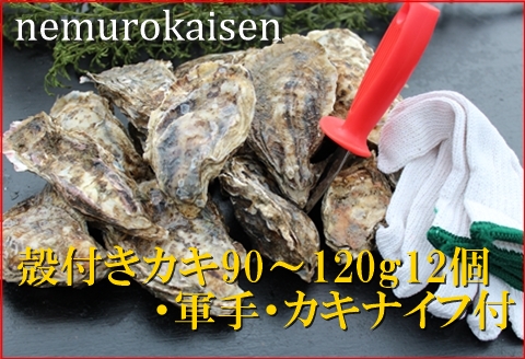 【北海道根室産】殻付カキ90～120g×12個 A-57055