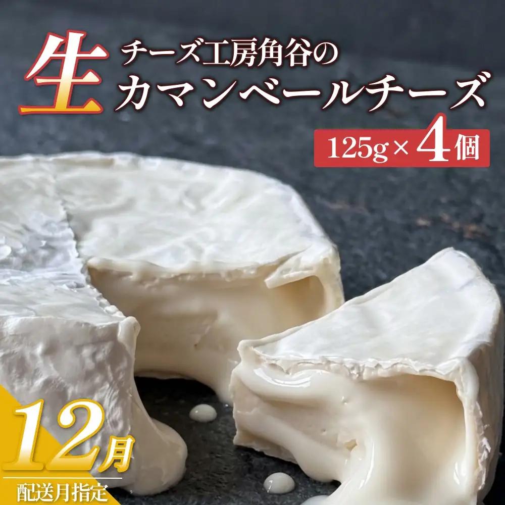 【ふるさと納税】【12月配送】超熟「生」カマンベールチーズ 4個 チーズ工房角谷 KAKUYA カマンベール チーズ ちーず 地元産生乳使用 生乳 手造り クリーミー おつまみ デザート 北海道 安平町 安平
