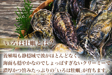 『先行予約』【12月中旬より順次発送】唐津産 殻付きいろは牡蠣 6kg(軍手・ナイフ付)期間限定 産地直送 殻付き 牡蠣 カキ 殻付き牡蠣 佐賀県 海鮮 BBQ 加熱用 お取り寄せ 贈り物 冬ギフト