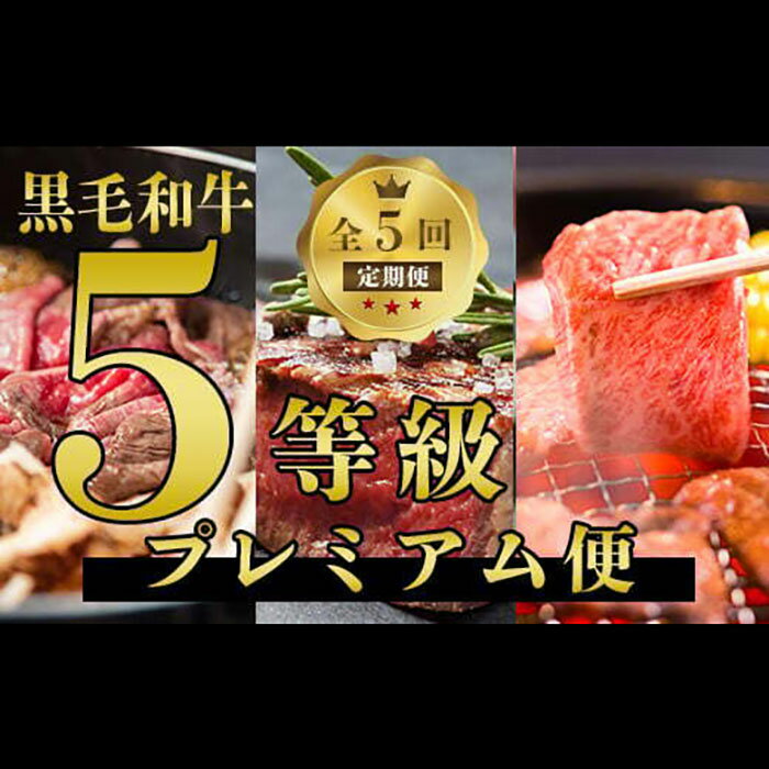 【ふるさと納税】＜定期便・全5回(連続)＞数量限定！鹿児島県産 黒毛和牛 5等級 プレミアム 定期便 5回 牛 牛肉 国産 鹿児島県産 肉 自社牧場 ヒレ ヒレステーキ サーロイン サーロインステーキ 肩 肩ロース ステーキ すきやき 焼き肉 しゃぶしゃぶ【水迫畜産】