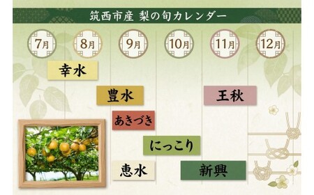 梨 2種 ( 幸水 ＆ 豊水 各10kg 合計20kg ) 定期便 セット 2026年産 先行予約 なし