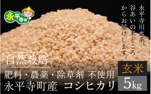 【令和７年産 】自然栽培米 永平寺町産 コシヒカリ 【玄米】５kg 無農薬 化学肥料  除草剤 不使用 福井県 永平寺  [B-061001]