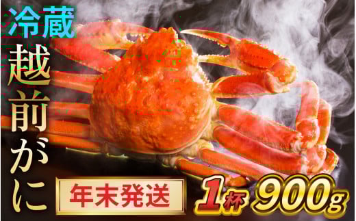 【先行予約/12月24日より順次発送】【年末希望】 越前がに 900ｇ×1ハイ ズワイガニ ずわいがに ボイル 冷蔵 小浜市 / まるほ商店 【配送不可地域：北海道・沖縄・離島】[BFCS042]