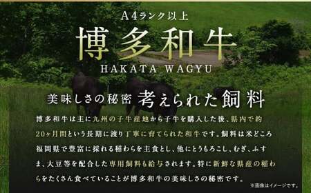 訳あり 佐賀牛 ＆ 博多和牛 切り落とし 2.4kg（各600g×2パック）【2024年12月発送】国産 和牛 牛肉 お肉 肉 冷凍