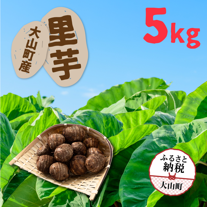 TY-02  大山町産里芋