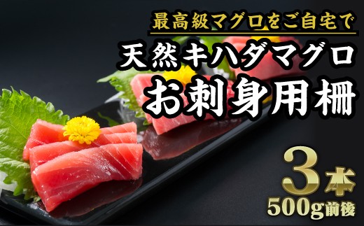 
                  尾鷲もちもちキハダマグロ お刺身用A柵 ３本（500g前後）｜小分け 生食 刺身 お刺身 切り落 冷凍 天然 鮪 まぐろ マグロ 赤身 ねぎとろ たたき 海鮮 丼 魚介 魚 人気 大人気 定番 ご飯 オススメ 三重県 尾鷲市 CH-f-97
                