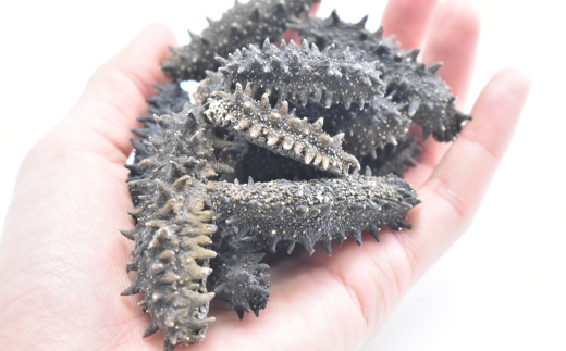 三陸産乾燥ナマコ　1kg　 5369999