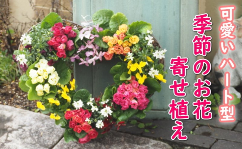 リース 季節のお花 寄せ植え (ハート型リース) 花 お花 寄植え ガーデン