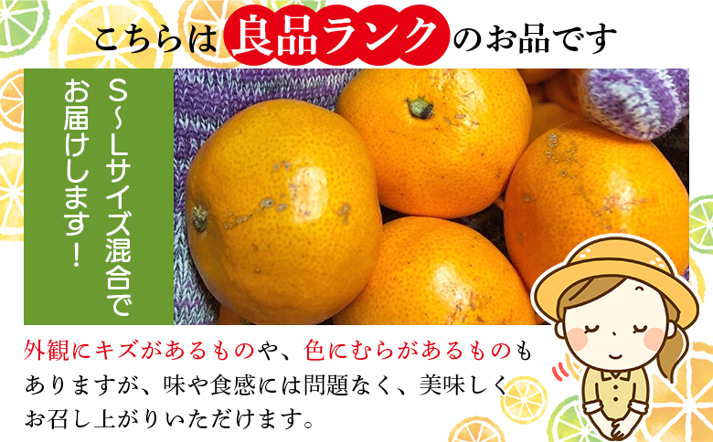 ＜木下さんちのみかん 良品 約3kg（S～Lサイズ混合）＞ 『2026年11月中旬～12月下旬に順次出荷予定』柑橘 温州みかん ミカン 果物 くだもの フルーツ 西宇和 愛媛県 西予市 約3kg（寄附