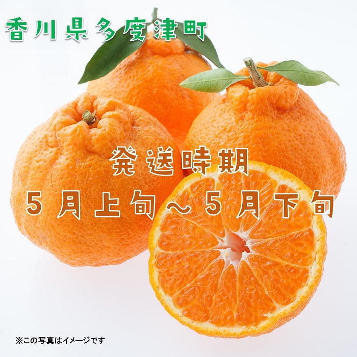 長期貯蔵 熟成 不知火(でこぽん)約2.8kg【予約受付中!令和7年5月中旬より発送】【B-29】