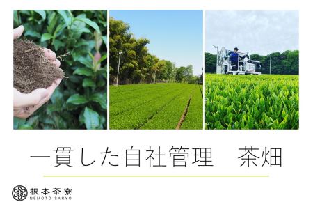 No.030 毎日茶 深蒸し茶 1.5kg