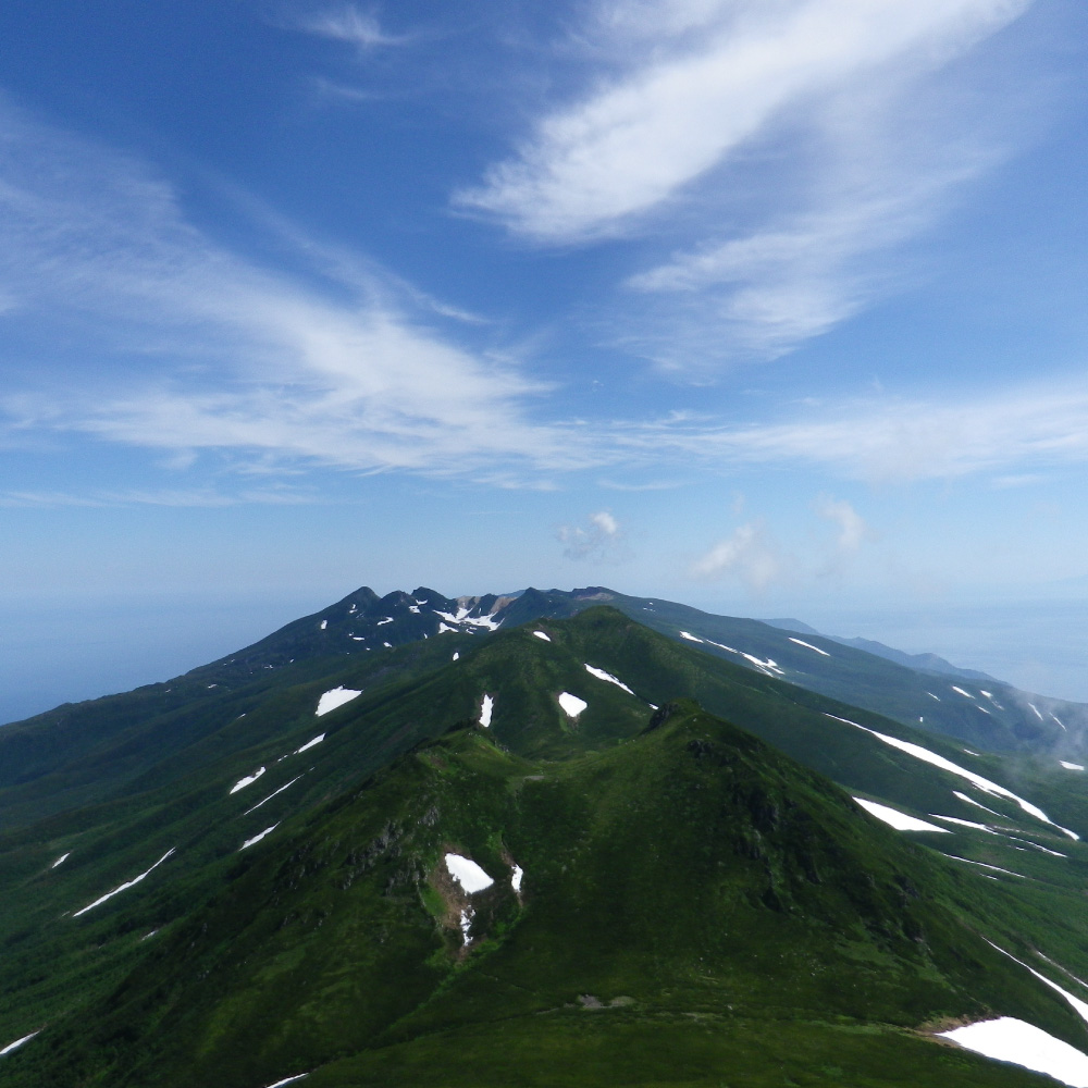 【先行受付】知床トコさんトラベルタンブラー アッシュグリーン 350ml×1本【配送不可地域：離島・沖縄県】_ss08-007