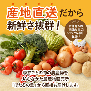 【毎月お届け】むなかた旬のお任せセット（野菜・フルーツ・卵） 9～11品【JAほたるの里】_HB0194