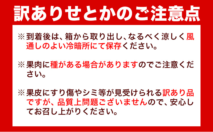 【先行予約】【家庭用 訳あり】とろける食感!ジューシー柑橘 せとか 約 5kg 魚鶴商店 《2026年2月上旬-3月中旬頃出荷》 和歌山県 日高町 みかん 柑橘 果物 フルーツ 送料無料(F)