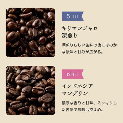 ふるさと納税 関市 【定期便】カフェ・アダチ ドリップコーヒー コーヒー豆 200g×6ヶ月 |  | 03