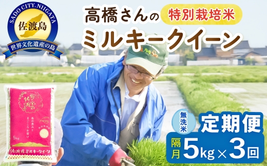【定期便 令和8年産新米 全3回】 佐渡島産ミルキークイーン 無洗米 5kg 令和8年産新米 特別栽培米 高橋農園 | 新潟県産ミルキークイーン 佐渡産ミルキークイーン ミルキークイーン お米 米 無洗米 むせんまい 精米 おこめ コメ 5キロ にいがた さど 新潟県 佐渡市
