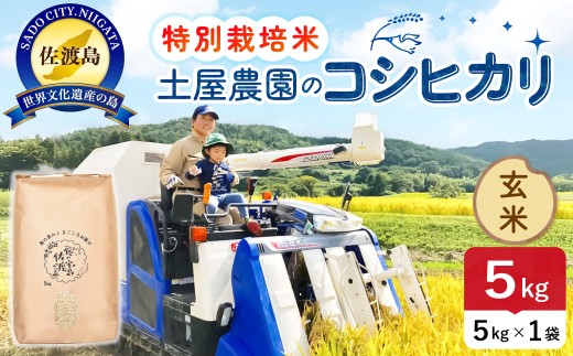 佐渡島産コシヒカリ 玄米5kg 令和7年産 特別栽培米 単一原料米 農家直送 | 新潟県産コシヒカリ 新潟産コシヒカリ 新潟コシヒカリ 佐渡産コシヒカリ 新潟県産こしひかり 佐渡産こしひかり お米 米 こしひかり 玄米 げんまい 水稲うるち玄米 ブランド米 おこめ コメ 5キロ にいがた さど 新潟県 佐渡市