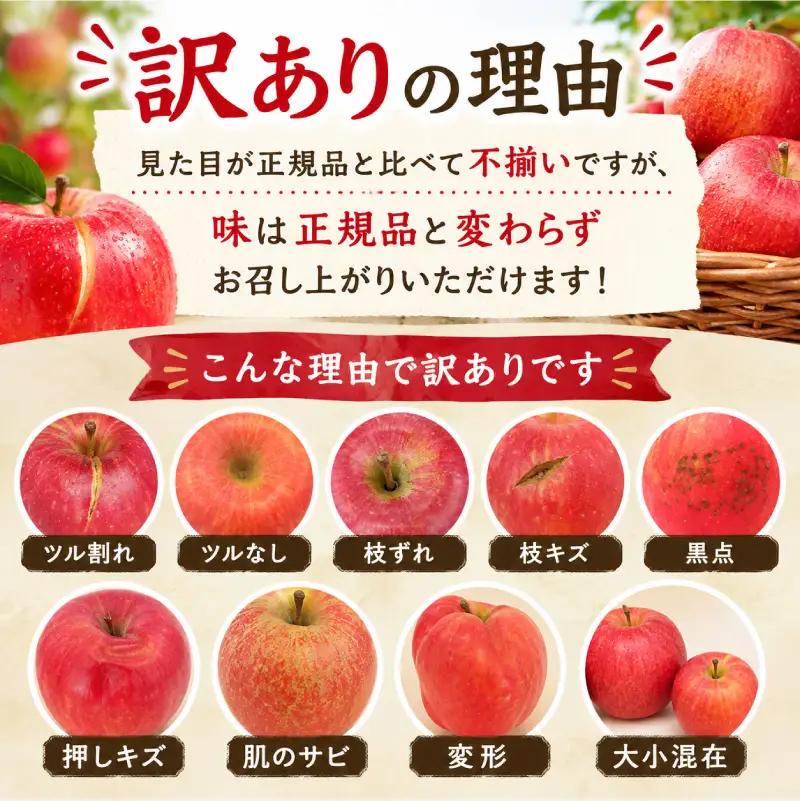 先行予約 りんご 家庭用 サンふじ 5kg りんご