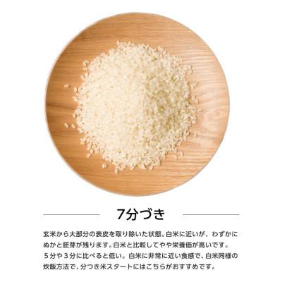 ふるさと納税 潟上市 【毎月定期便】秋田県産あきたこまち 5kg(七分づき)全12回 |  | 01