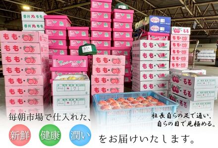 【2025年11月中旬より順次発送】【特秀品】小原紅早生 約5kg みかん みかん みかん みかん