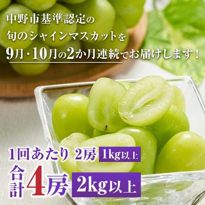 ふるさと納税 中野市 【発送月固定定期便】〈2026年発送〉シャインマスカット2房1kg以上　JA中野市から直送全2回 |  | 01