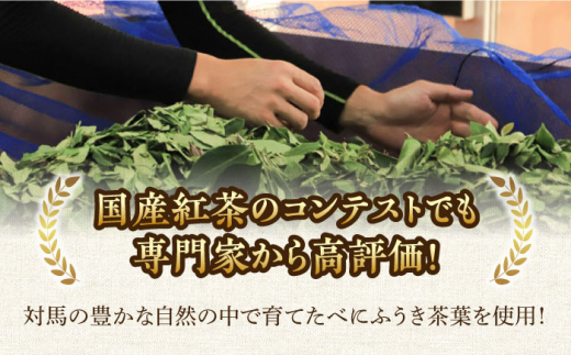 対馬紅茶プレミアム ティーバッグ2.5g×2包 5袋セット《対馬市》【つしま大石農園】長崎 対馬 ティー お茶 飲料 [WBE015]