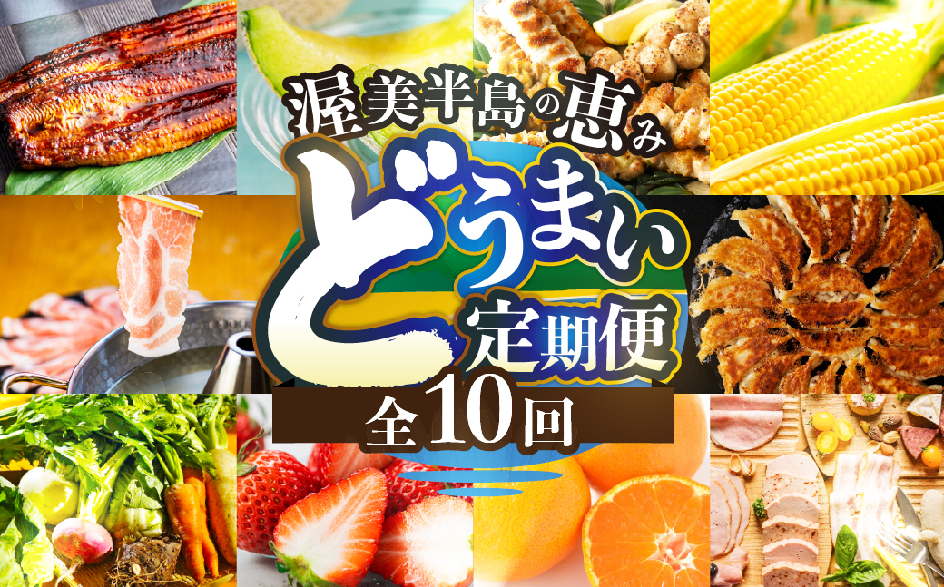 渥美半島の恵み どうまい 定期便 全10回（ 野菜 セット いちご 餃子 焼き鳥 うなぎ とうもろこし みかん メロン 豚肉 ハム ソーセージ ) 青うなぎ 名古屋コーチン マスクメロン ご当地 人気 頒布会