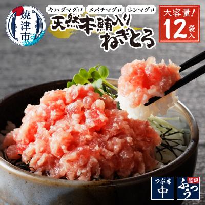 ふるさと納税 焼津市 天然本鮪入りねぎとろ【80g×12パック】(a12-200)